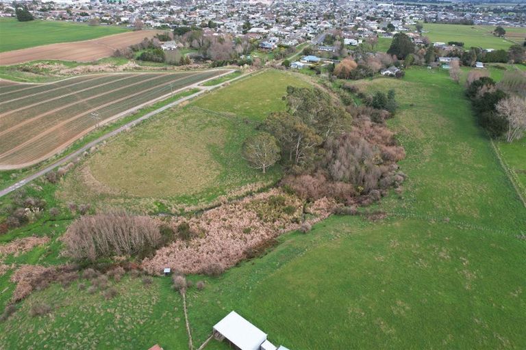 Photo of property in 246 Kawiu Road, Levin, 5510