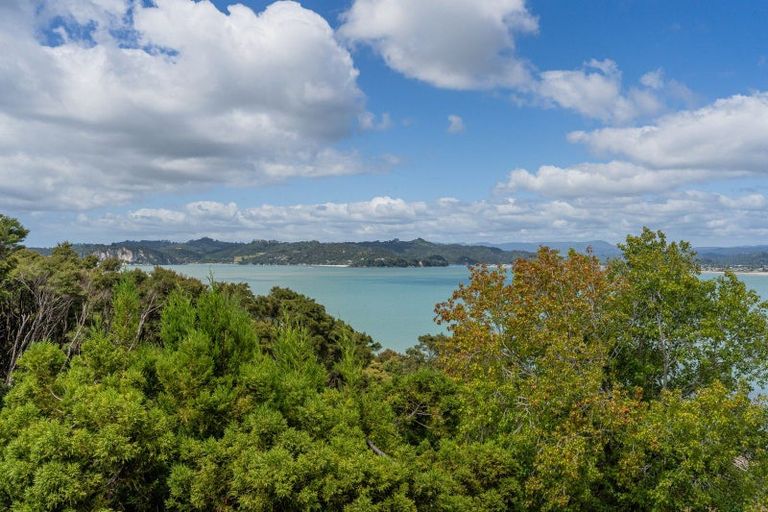 Photo of property in 219 Buffalo Beach Sh25 Road, Whitianga, 3592