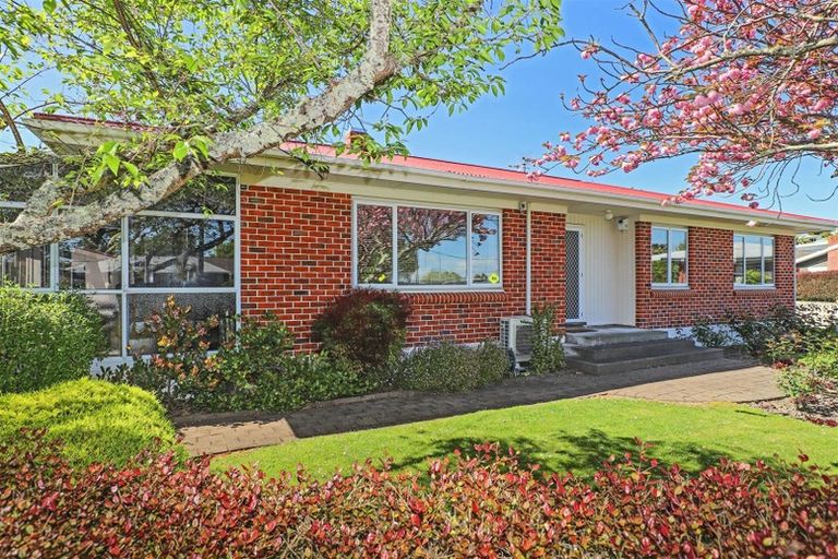 Photo of property in 32 Campbell Street, Havelock North, 4130