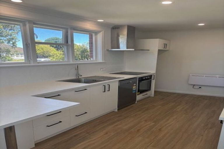 Photo of property in 115 Limbrick Street, Terrace End, Palmerston North, 4410