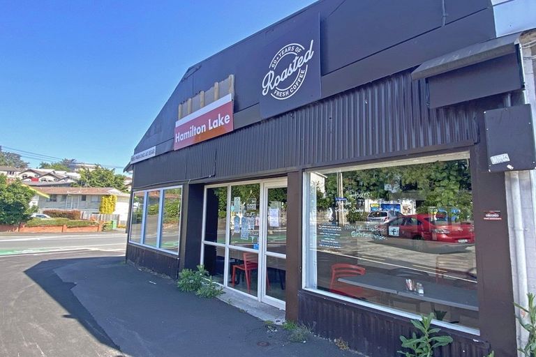 Photo of property in 82 Palmerston Street, Hamilton Lake, Hamilton, 3204
