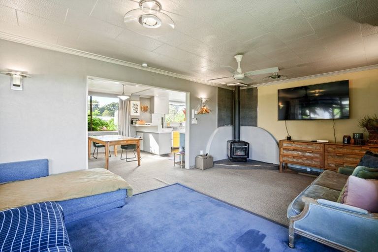 Photo of property in 28 Boyldon Street, Waitahuna, Lawrence, 9593