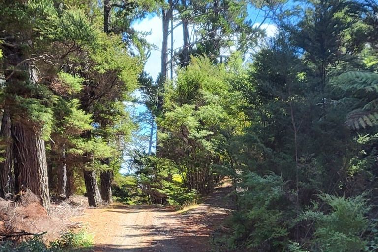 Photo of property in 10 Wilson Avenue, Kawau Island, 0920