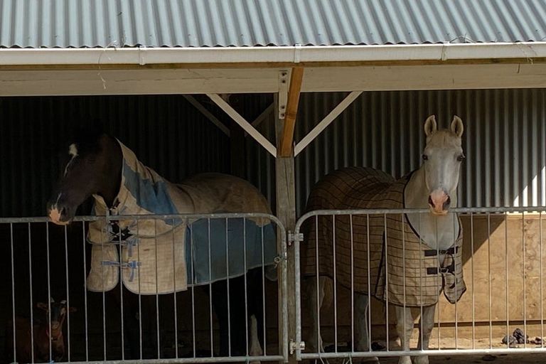 Photo of property in 67 Andrews Road, Onewhero, Tuakau, 2697