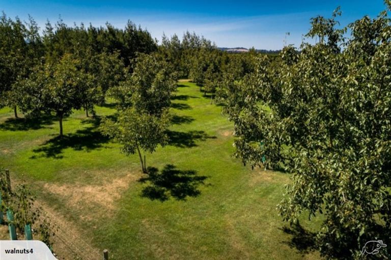 Photo of property in 556 Steffens Road, Starvation Hill, Oxford, 7495