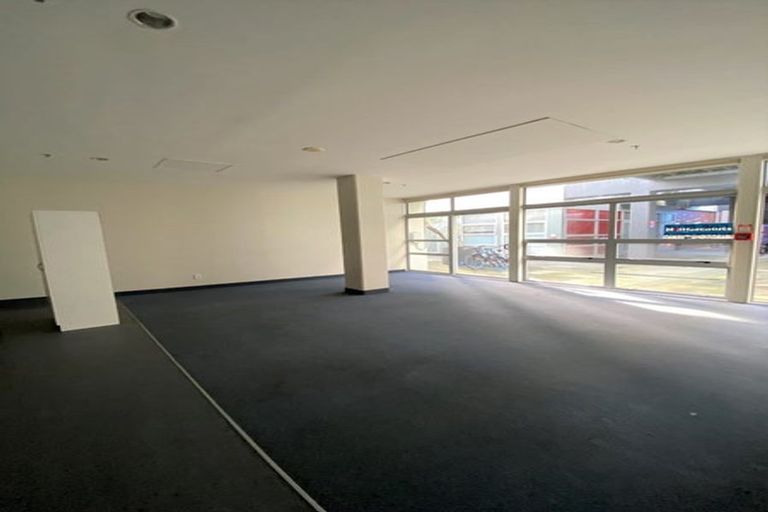 Photo of property in Hanson House, 2/27 Hanson Street, Mount Cook, Wellington, 6021