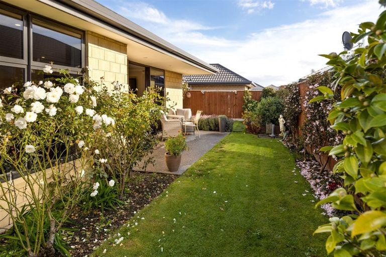 Photo of property in 2 Korari Grove, Redwoodtown, Blenheim, 7201