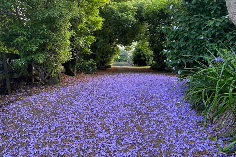 Photo of property in 35 Davis Strongman Place, Kerikeri, 0293