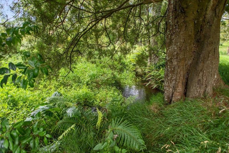 Photo of property in 150 Dimmock Road, Waitakaruru, Ngatea, 2471