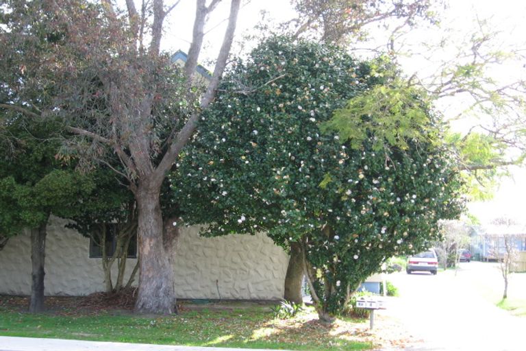 Photo of property in 6a Queen Road, Bellevue, Tauranga, 3110