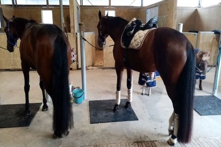 Photo of property in 475 Ellesmere Road, Lincoln, Christchurch, 7672