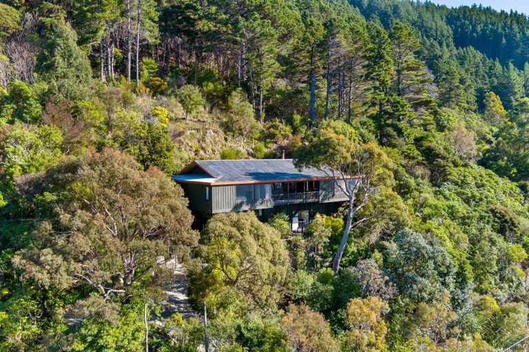 Photo of property in 438 Port Underwood Road, Whatamango Bay, Picton, 7281