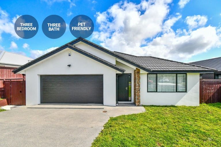 Photo of property in 130 Hitchen Road, Pokeno, 2402