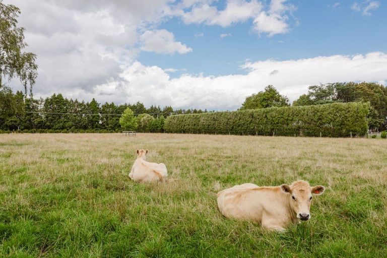 Photo of property in 14 Aerodrome Road, Dannevirke, 4972