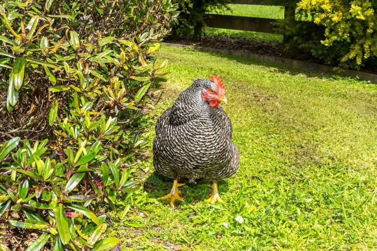 Photo of property in 32e Kaitoke Loop, Kaitoke, Upper Hutt, 5018