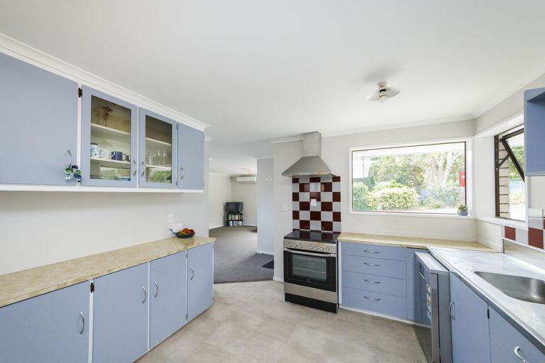 Photo of property in 155a Ruahine Street, Roslyn, Palmerston North, 4414