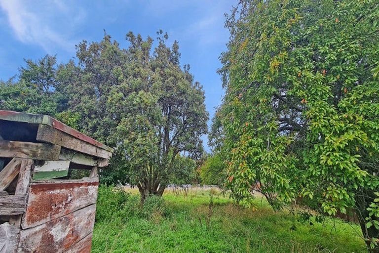 Photo of property in 19 Flower Street, Bulls, 4818