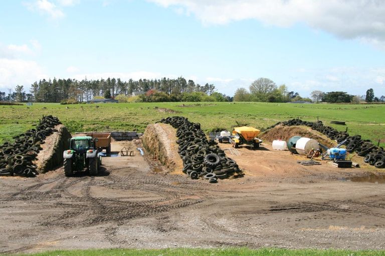 Photo of property in 343 Opunake Road, Cardiff, Stratford, 4391