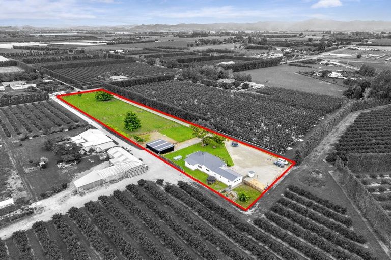 Photo of property in 36 Bell Road, Matawhero, Gisborne, 4071