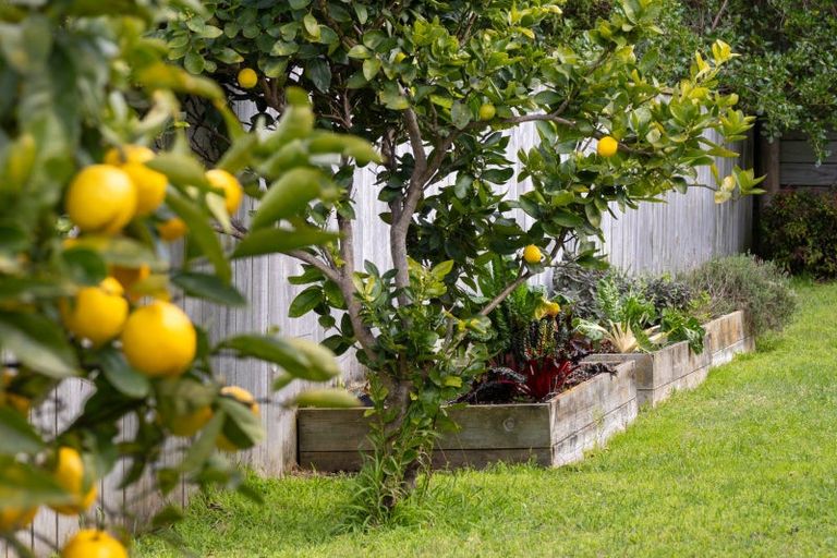 Photo of property in 28 Simpson Crescent, Raumati Beach, Paraparaumu, 5032