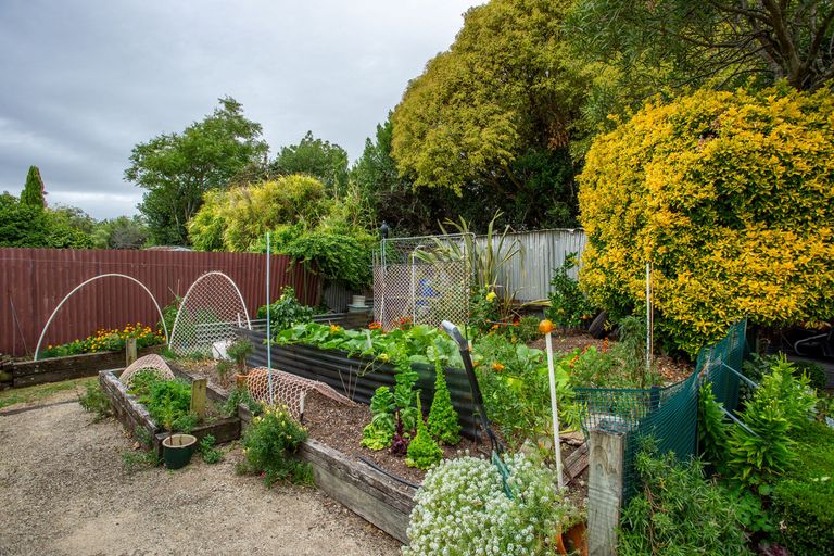 Photo of property in 43 Taverner Street, Carterton, 5713