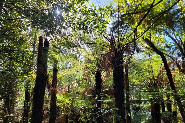 Photo of property in 67e Blue Spur Road, Blue Spur, Hokitika, 7882