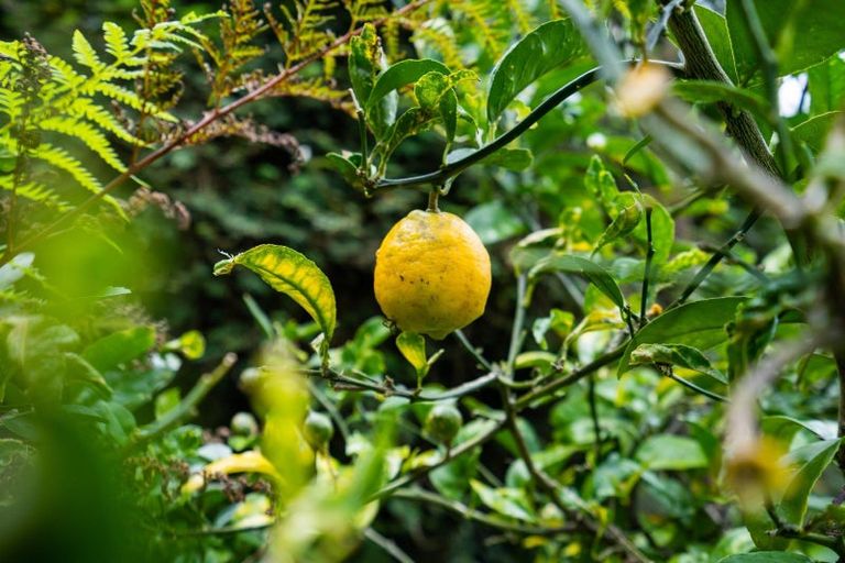 Photo of property in 126 Western Hills Drive, Kensington, Whangarei, 0112