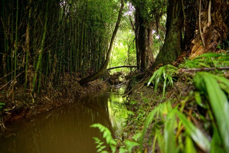 Photo of property in 86 Taha Road, Waimauku, 0881