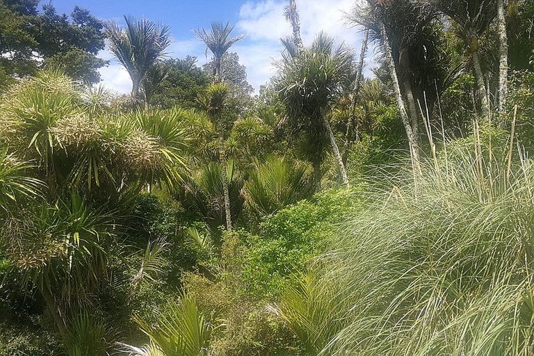 Photo of property in 6 Whaka Street, Maungaturoto, 0520