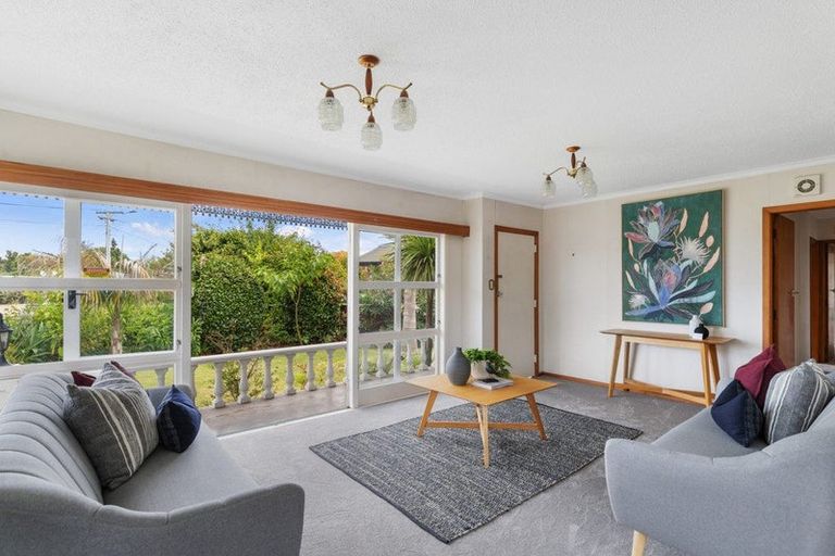 Photo of property in 91 Fitzroy Avenue, Fitzroy, Hamilton, 3206