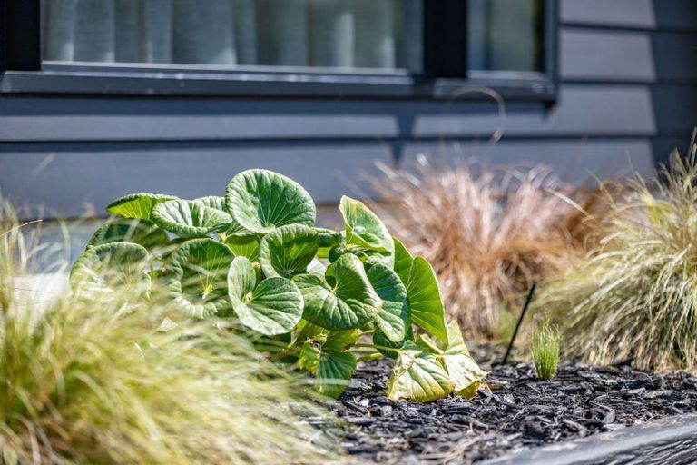 Photo of property in 28 Pioneer Drive, Te Awamutu, 3800