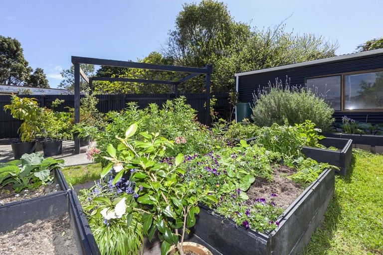 Photo of property in 20 Hookway Grove, Paraparaumu, 5032