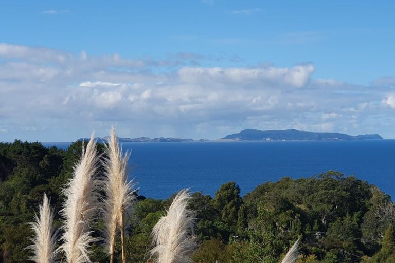 Photo of property in 457 Tuateawa Road, Tuateawa, Coromandel, 3583