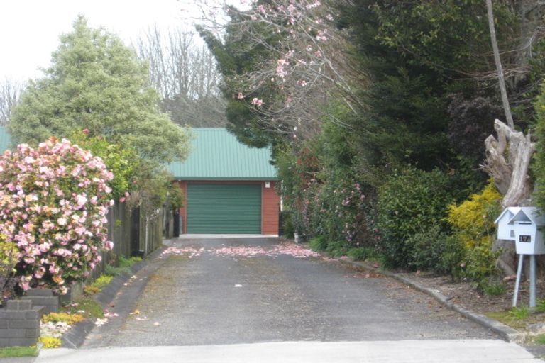 Photo of property in 17 Regan Street, Stratford, 4332