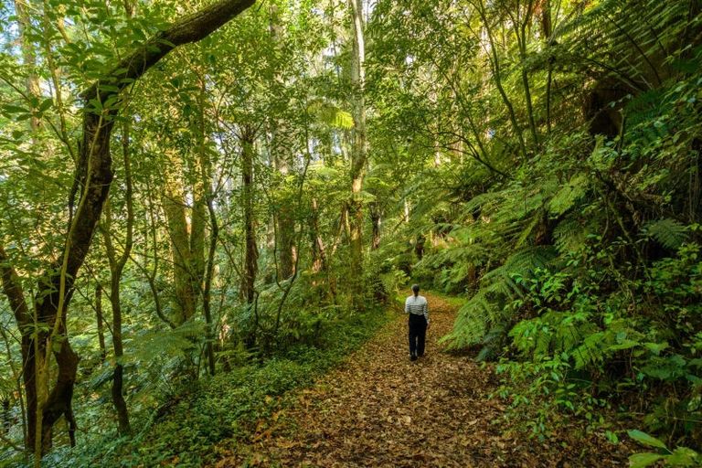 Photo of property in 125 Boscabel Drive, Ohauiti, Tauranga, 3112