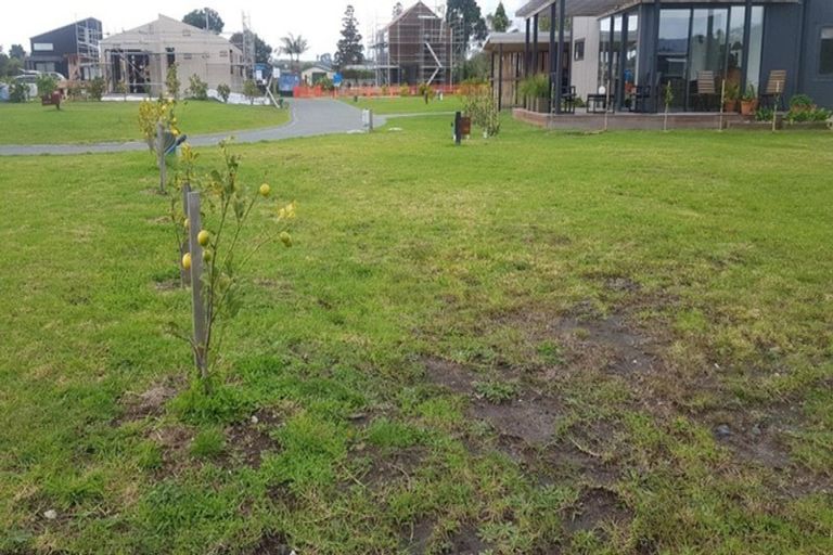 Photo of property in 13 Citrus Place, Mangawhai, 0505