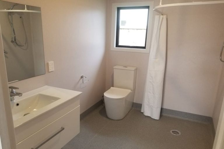 Photo of property in 109 Nixon Street, Hamilton East, Hamilton, 3216