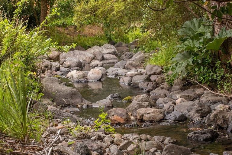 Photo of property in 81 Grehan Valley Road, Akaroa, 7520