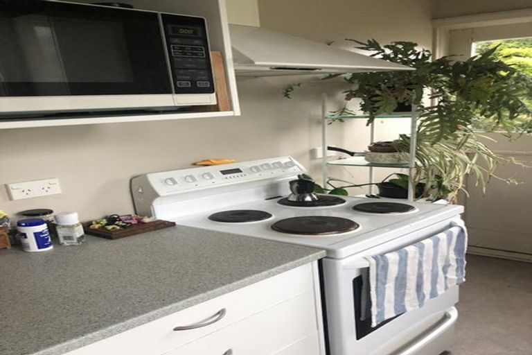 Photo of property in 26a Aro Street, Aro Valley, Wellington, 6021