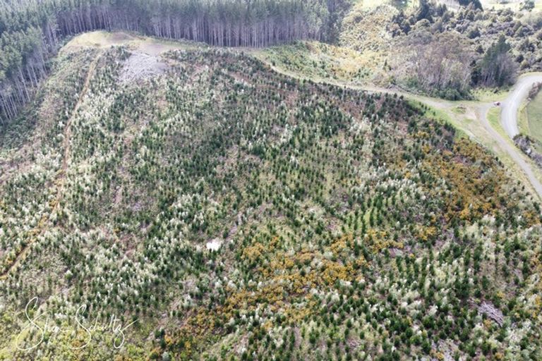 Photo of property in 872 Bickerstaffe Road, Maungaturoto, 0587