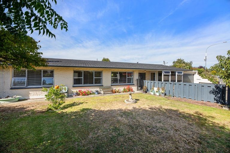 Photo of property in 117 Maxwell Road, Blenheim, 7201