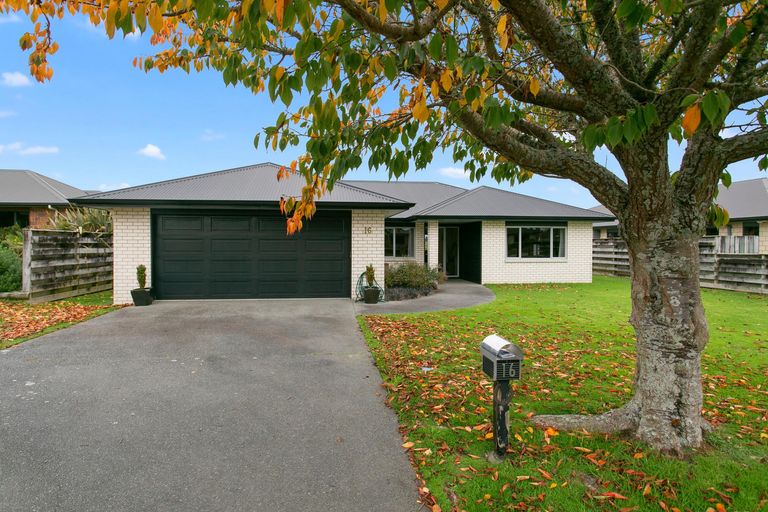 Photo of property in 16 Ashworth Place, Matamata, 3400