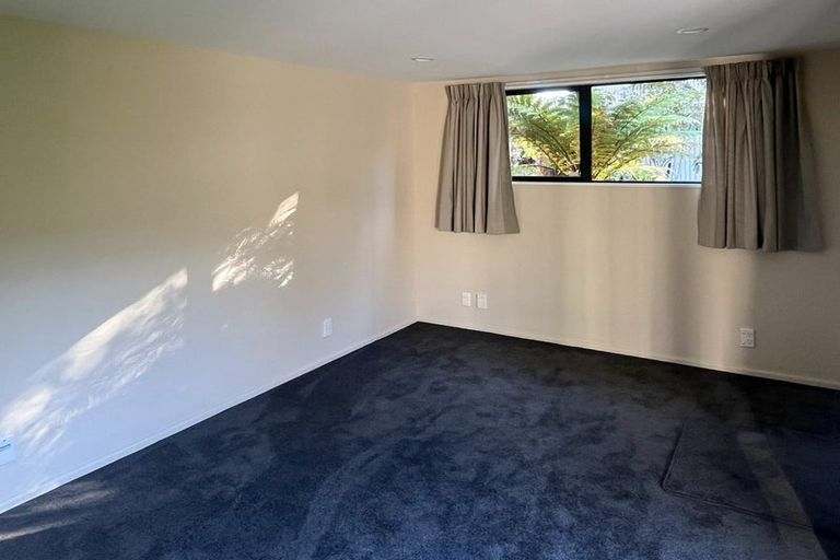 Photo of property in 125 Saint James Avenue, Papanui, Christchurch, 8053