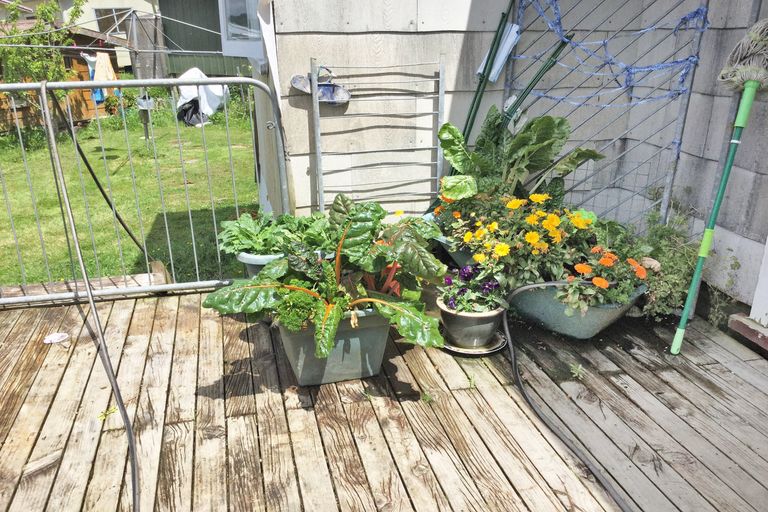 Photo of property in 55 Wattle Lane, Kaiwaka, 0573