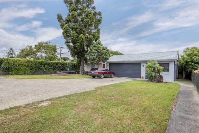 Photo of property in 39 Keepa Street, Levin, 5510