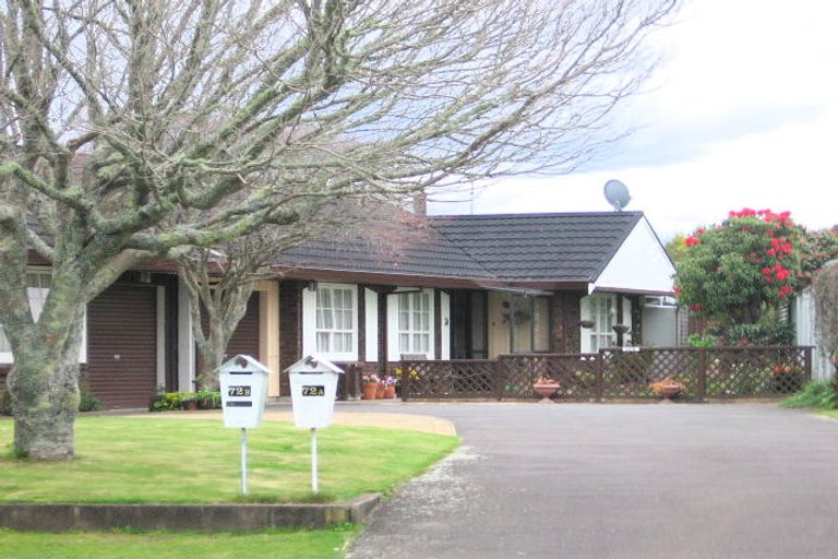 Photo of property in 72a Te Hono Street, Maungatapu, Tauranga, 3112