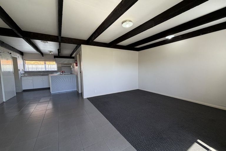 Photo of property in 119a Tiro Tiro Road, Levin, 5510