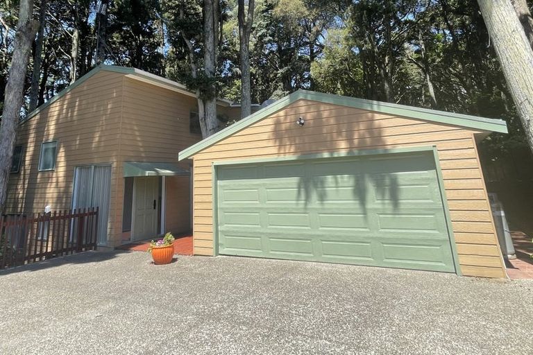 Photo of property in 42 Collie Street, Hillpark, Auckland, 2102