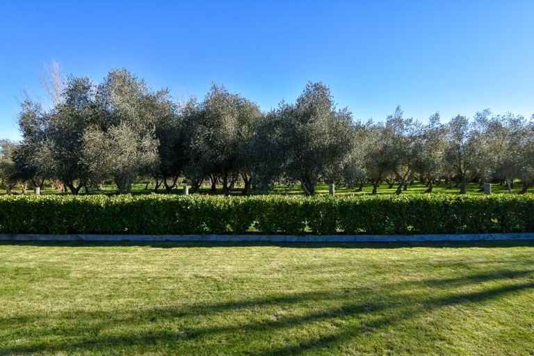 Photo of property in 5 Pukeko Lane, Carterton, 5713