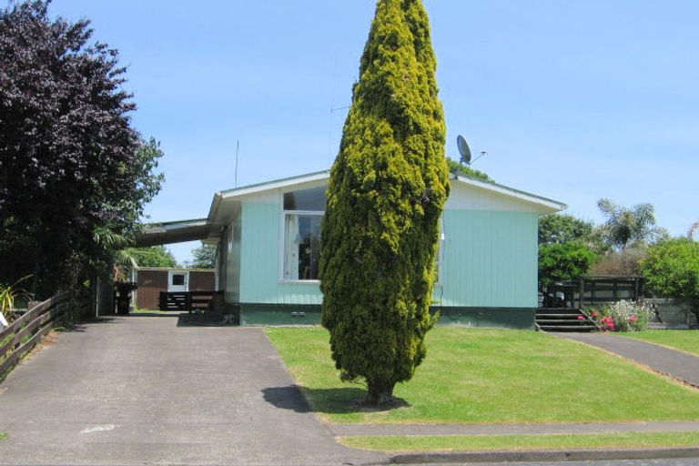 Photo of property in 17 Glendon Place, Otorohanga, 3900